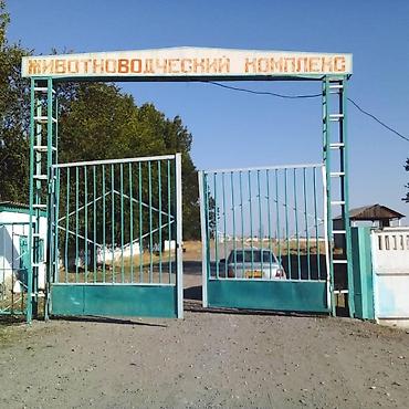 отель бишкек: Сдается в долгосрочную аренду крупная животноводческая ферма — 3