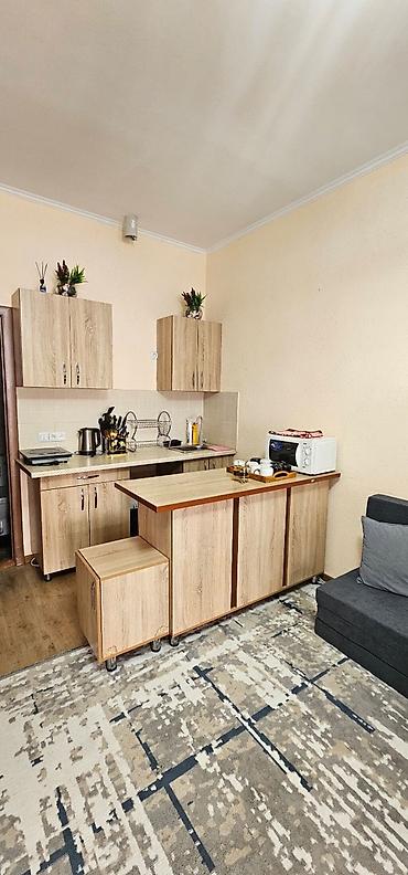 Продажа отелей и хостелов: Продаю коттедж в селе чок-тал центр отдыха париж 75м кв.общяя плошадь — 1