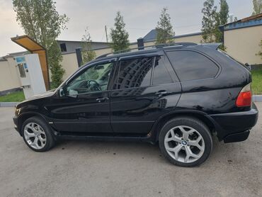 BMW: BMW X5: 2002 г., 4.4 л, Автомат, Бензин, Внедорожник