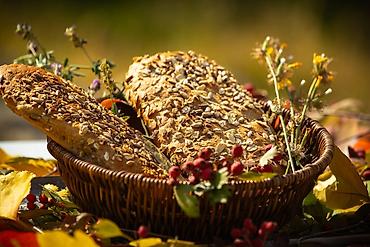 Фото- и видеосъёмка: Фотосъёмка, Видеосъемка | Студия, С выездом | Съемки мероприятий, Love story, Видео портреты — 19