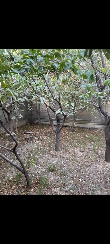 Долгосрочная аренда домов: 100 м², 5 комнат — 19