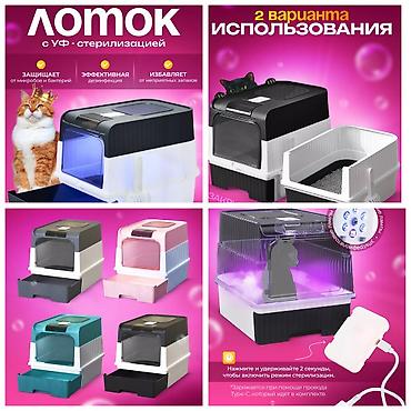 Животные: Продаю новые груминг машинки.Устали от шерсти,линьки и колтунов.А так — 4