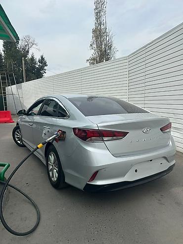 sonata uf: Hyundai Sonata: 2020 г., Автомат, Газ, Седан — 4