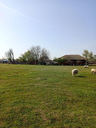Daşınmaz əmlak: 3 otaqlı, 100 kv. m, Orta təmir — 10