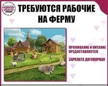 пасуда жумуш керек: Требуются рабочие на ферму Зарплата договорная без задержек