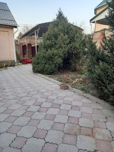 куплю дом чон арык: Дом, 150 м², 5 комнат, Агентство недвижимости, Косметический ремонт