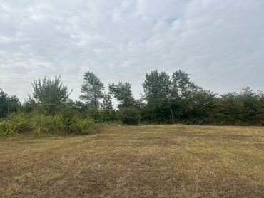 Torpaq sahələrinin satışı: 110 sot, Tikinti — 7