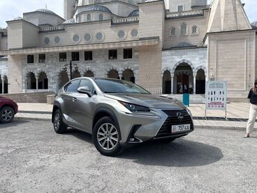 срочно только нал: Lexus NX: 2019 г., 2 л, Автомат, Бензин, Кроссовер