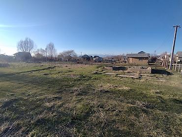 Продажа участков: 5 соток, Красная книга — 5