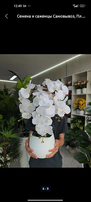 Декоративные цветы: Искусственные деревьяи цветы для вашего интерьера Адрес: г. Бишкек. ул — 6