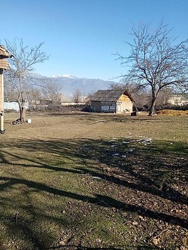 4 otaqli kiraye evler: 20 sot, Tikinti, Barter mümkündür, Kupça (Çıxarış) — 2
