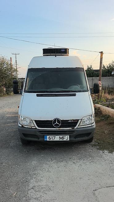 Аренда транспорта: Mercedes-Benz Sprinter 413 CDI рефрижераторный фургон - Длинная база — 2