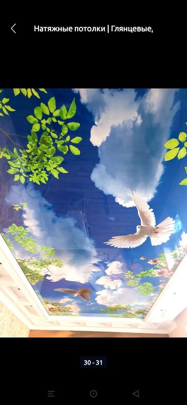 Натяжной потолок: Натяжные потолки — 8