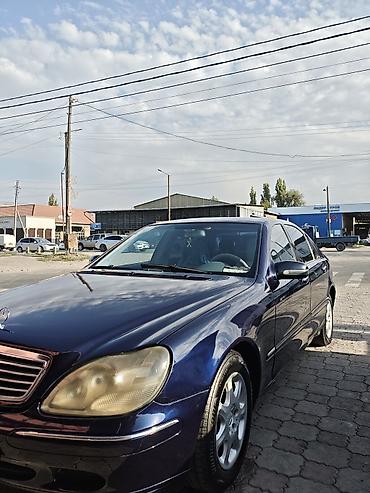 highlander platinum: Mercedes-Benz S-Class: 2001 г., 3.2 л, Автомат, Бензин, Седан — 3