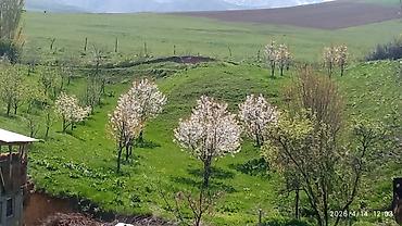 Долгосрочная аренда домов: 220 м², 6 комнат — 10