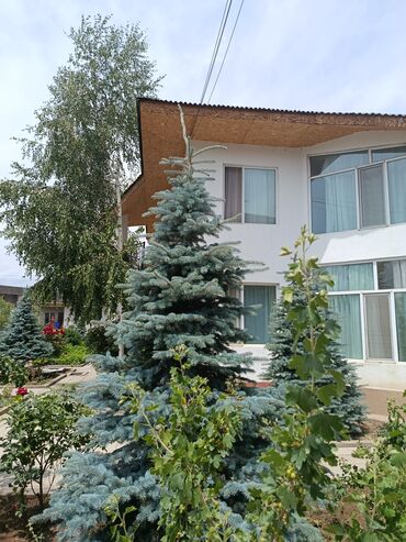 жалалабад дома: 250 м², 7 комнат, Парковка
