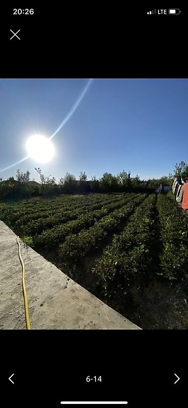 Продажа участков: 14 соток, Для бизнеса, Красная книга — 4