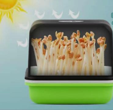 Другие товары для кухни: Лотки для проращивания:
маленький черный 300с
большой прозрачный 400с — 2