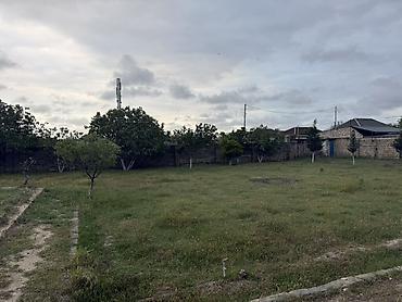 Torpaq: 17 sot, Tikinti, Kupça (Çıxarış) — 6