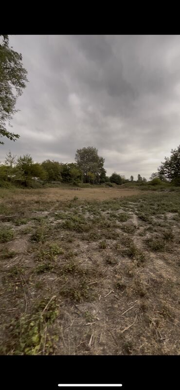 Torpaq sahələrinin satışı: 10 sot, Kupça (Çıxarış) — 6