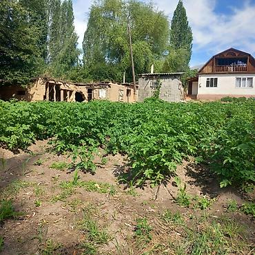 Продажа коттеджей и домов: 🏡Продаётся дом с участком в живописном селе Кара-Ой, на побережье — 17