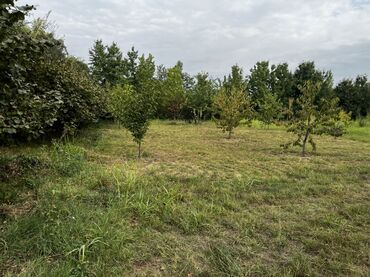 Torpaq sahələrinin satışı: 12 sot, Tikinti, Mülkiyyətçi, Kupça (Çıxarış) -da lalafo.az — 5 Torpaq sahələrinin satışı: 12 sot, Tikinti, Mülkiyyətçi, Kupça (Çıxarış) — 5