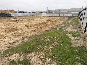 Torpaq sahələrinin satışı: 12 sot, Barter mümkündür -da lalafo.az — 8 Torpaq sahələrinin satışı: 12 sot, Barter mümkündür — 8