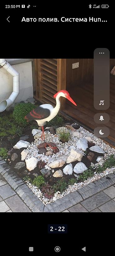 Газон: Сеем Газон и Автополив at lalafo.kg — 12 Газон: Сеем Газон и Автополив — 12