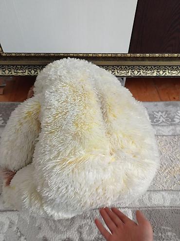 prius oyuncaq: Böyük ölçülü yumşaq oyuncaq ayı - Rəng: krem/açıq bej gövdə, qulaqlar — 4