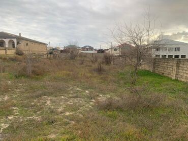 22 sot, Makler, Kupça (Çıxarış)