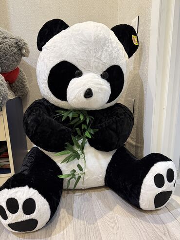 usaq fotosessiyalari: Yenidir. Super toysdan alinib. 50 Azn