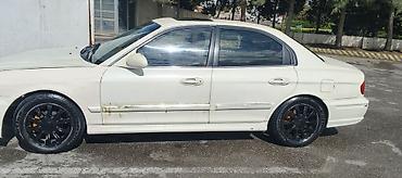sonata 2013: Hyundai Sonata sedan - Korpus: ağ rəng, 4 qapı, aerodinamik kuzov — 1