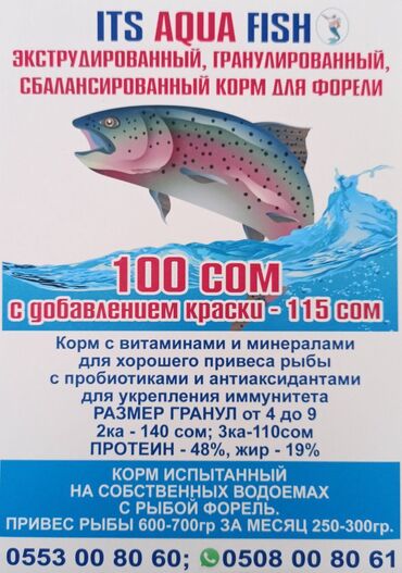 Рыбы: Гарантия корма даёт хороший результат, привес поголовья, плотность и