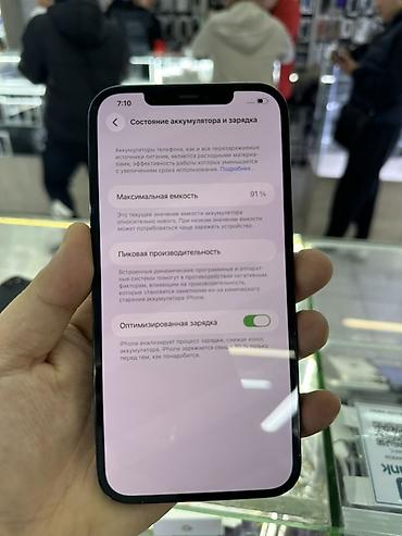 Apple iPhone: IPhone 12 Pro Max, Б/у, 128 ГБ, Sierra Blue, Зарядное устройство, Защитное стекло, Чехол, 91 % — 7