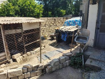 Bağ evlərinin satışı: Bakı, Sahil qəsəbəsi, 100000000 kv. m, 12 otaq, Hovuzsuz, İnternet, Qaz, İşıq -da lalafo.az — 26 Bağ evlərinin satışı: Bakı, Sahil qəsəbəsi, 100000000 kv. m, 12 otaq, Hovuzsuz, İnternet, Qaz, İşıq — 26