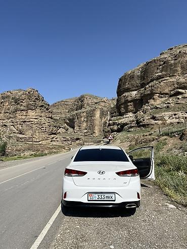 k5 optima: Hyundai Sonata: 2018 г., 0.2 л, Автомат, Бензин, Седан — 2