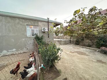 Həyət evləri və villaların satışı: Binə 4 otaqlı, 100 kv. m, Orta təmir -da lalafo.az — 12 Həyət evləri və villaların satışı: Binə 4 otaqlı, 100 kv. m, Orta təmir — 12