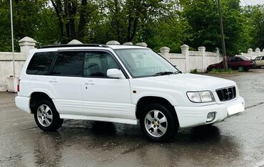 Subaru: Subaru Forester: 2001 г., 2 л, Автомат, Бензин, Универсал