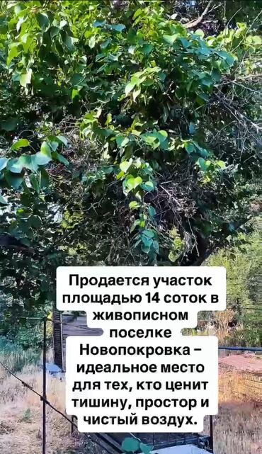 продаю дом беш кунгой: Дом, 64 м², 4 комнаты, Агентство недвижимости, Косметический ремонт