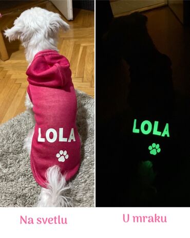 Oprema za kućne ljubimce: Duksevi za pse sa IMENOM Vašeg ljubimca ~ Stampa koja svetli u mraku ~