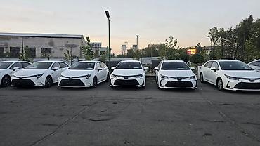 левин: Toyota Corolla: 2023 г., 1.8 л, Вариатор, Гибрид, Седан — 5