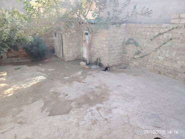 Həyət evləri və villaların satışı: 3 otaqlı, 120 kv. m, Kredit yoxdur, Yeni təmirli — 3