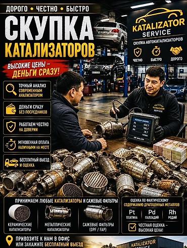 type s: Скупка автокатализаторов и сажевых фильтров (DPF/FAP) - Принимаем — 2