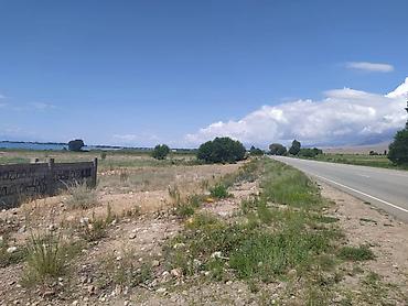село рот фронт: 4 соток, Для бизнеса, Красная книга — 1