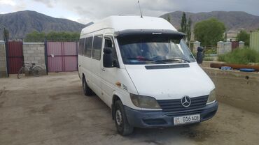 Mercedes-Benz: Mercedes-Benz Sprinter: 2003 г., 2.9 л, Механика, Дизель, Бус