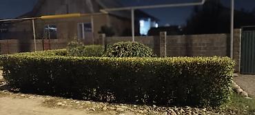 Продажа коттеджей и домов: 🏡 **Продается уютный дом в Бишкеке!** 📍 Район: Ак-Ордо 1 ж/м 🏠 Дом: 2 — 11