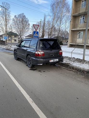 Subaru: Subaru Forester: 1999 г., 2 л, Автомат, Бензин, Универсал — 9