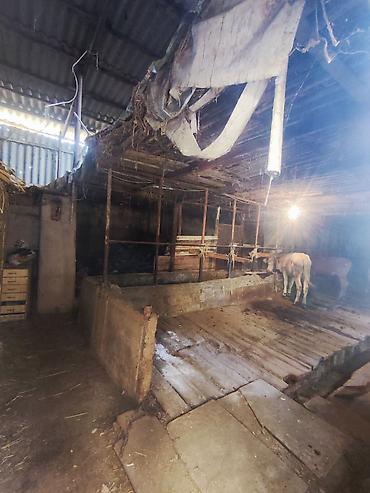 Продажа коттеджей и домов: 4 комнаты, 125 м², 8 соток, Манас, Собственник — 26