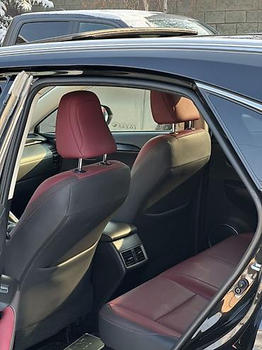 Lexus: Lexus NX: 2019 г., 2 л, Автомат, Бензин, Кроссовер — 6