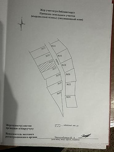 село чон таш: 5 соток, Красная книга — 3